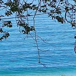Kiki By The Beach! * Коккино-Неро