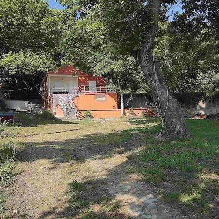 Kiki By The Beach! *