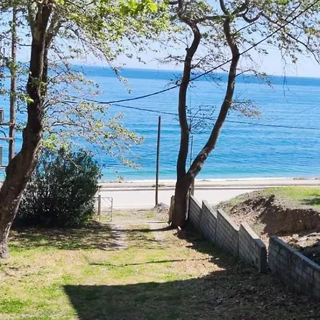 Kiki By The Beach! *